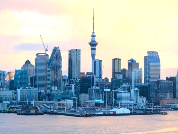 Private Transfer: Wellington Airport to Auckland