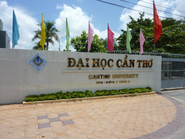 Private Transfer: Ho Chi Minh to Can Tho