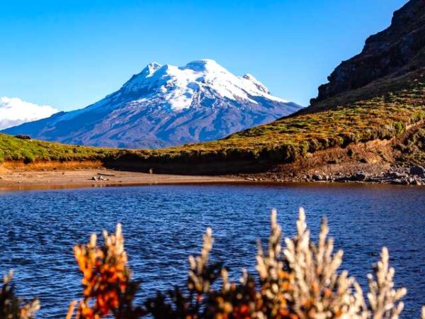 Private Transfer: Papallacta to Quito
