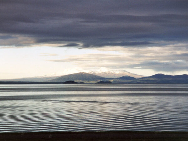 Private Transfer: Auckland to Taupo