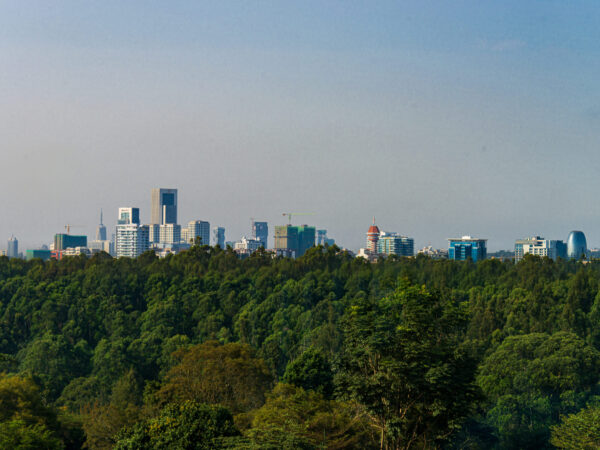 Private Transfer: Malindi to Nairobi