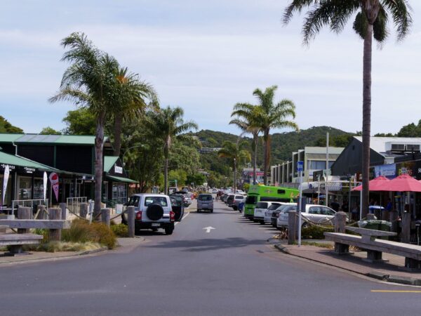 Private Transfer: Auckland to Paihia