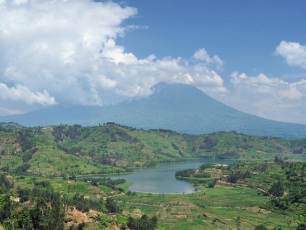 Private Transfer: Kigali to Volcanos National Park