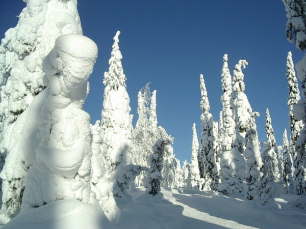 Private Transfer: Helsinki to Kuusamo