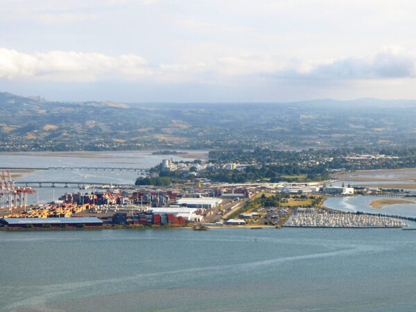 Private Transfer: Auckland to Tauranga