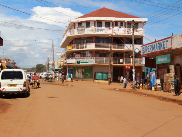 Private Transfer: Masindi to Jinja