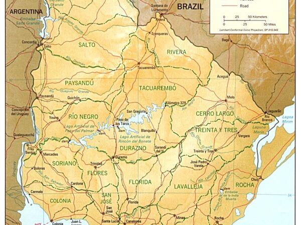 Private Transfer: Colonia Del Sacramento to Toledo Uruguay
