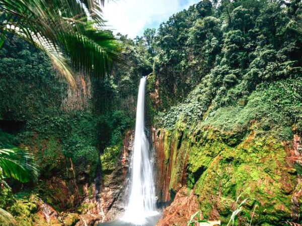 Private Transfer: Penas Blancas to La Fortuna