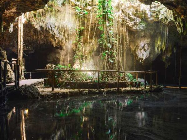Private Transfer: Mayakoba to Cancun